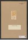 Pseudauliscus ornatus (Grev.) Rattr. (de-Toni-Nr.: Genus 172, Species 4431) Zeichnungen Sammlung Grunow Nr. 7990 (NHMW-BOT-W0377283)